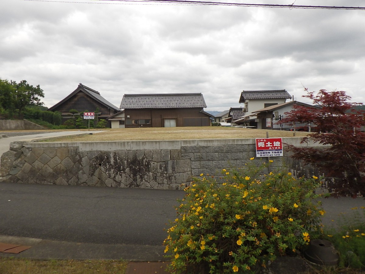 金屋分譲造成地