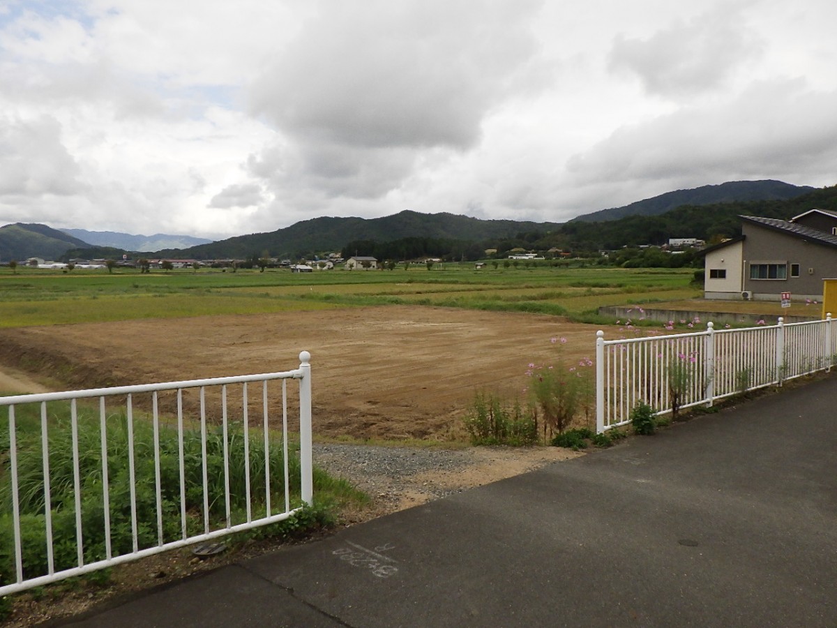 加悦ナル造成地02